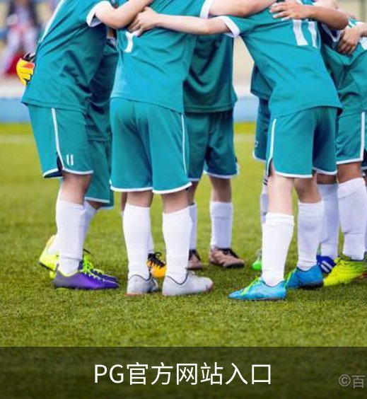 PG官方网站入口概况